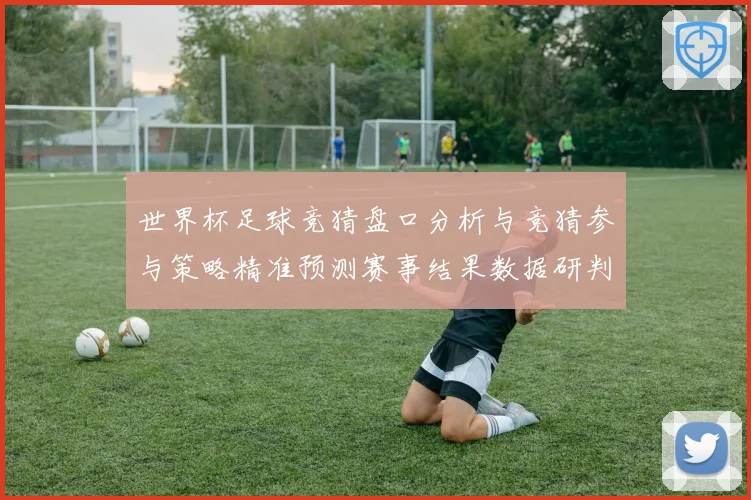 世界杯足球竞猜盘口分析与竞猜参与策略精准预测赛事结果数据研判