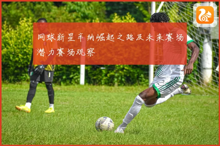 网球新星辛纳崛起之路及未来赛场潜力赛场观察
