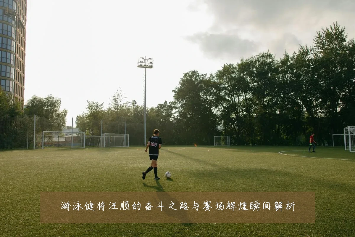 游泳健将汪顺的奋斗之路与赛场辉煌瞬间解析