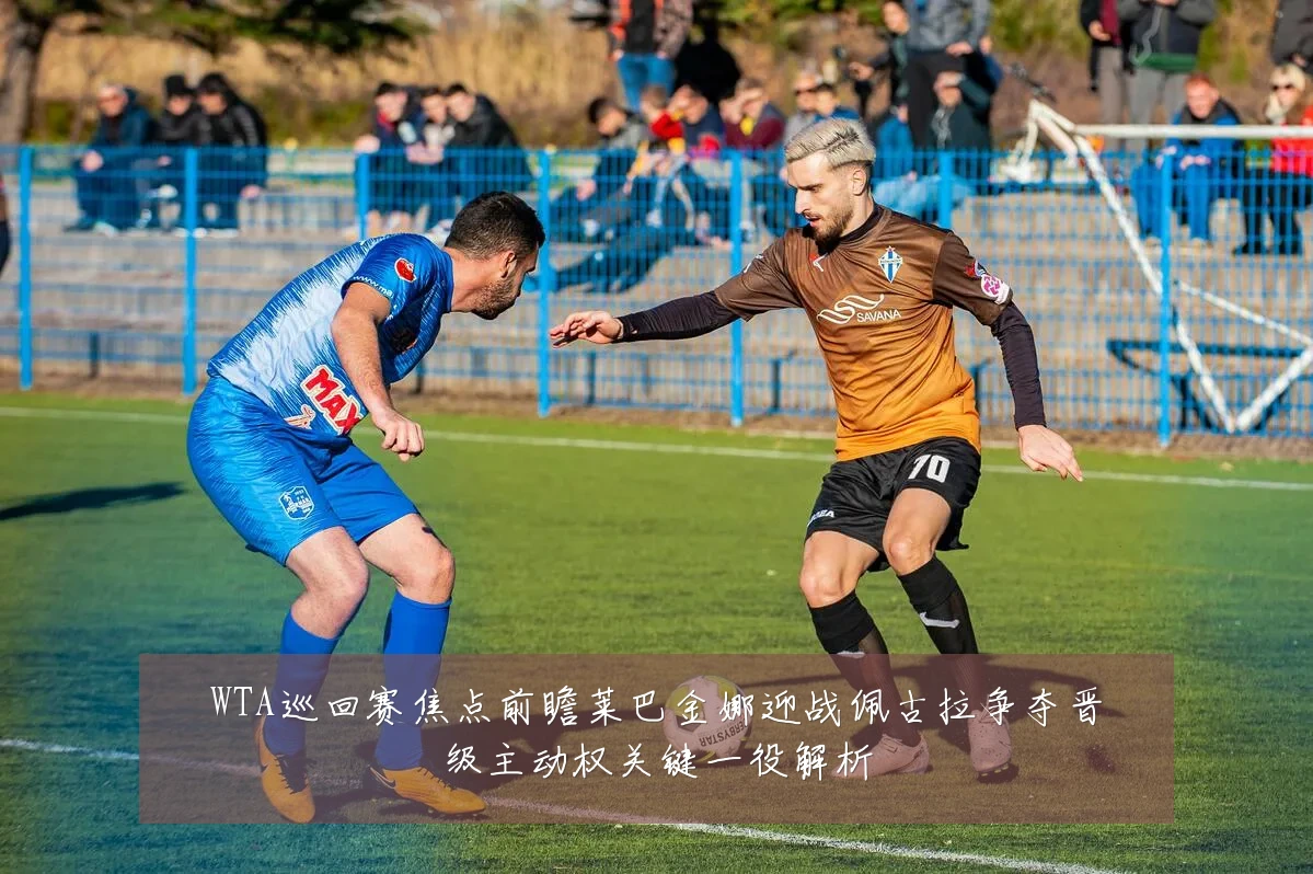 WTA巡回赛焦点前瞻莱巴金娜迎战佩古拉争夺晋级主动权关键一役解析